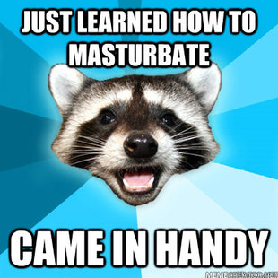 Lame Pun Coon