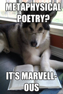 Condescending Literary Pun Dog