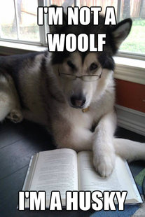Condescending Literary Pun Dog