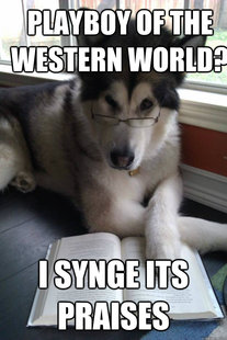 Condescending Literary Pun Dog