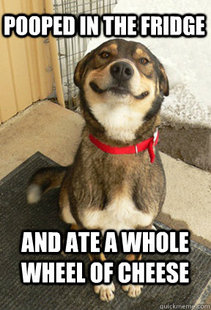 Good Dog Greg