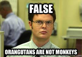 Dwight False