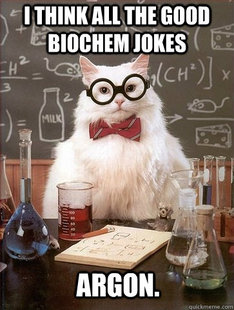 Chemistry Cat