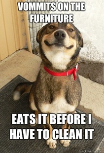 Good Dog Greg