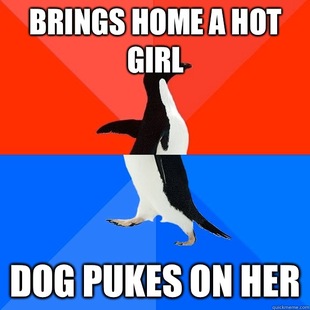 Socially Awesome Awkward Penguin