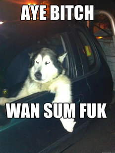 Mean Dog