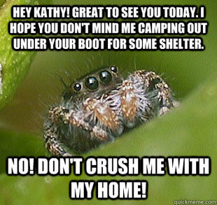Misunderstood Spider