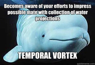 Misbehavin Pocket Whale