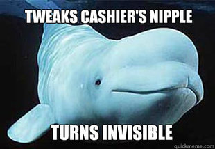 Misbehavin Pocket Whale
