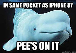 Misbehavin Pocket Whale