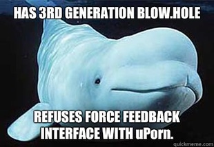 Misbehavin Pocket Whale