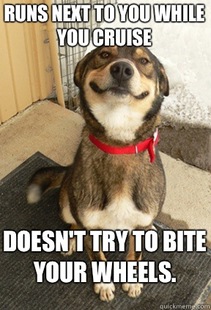 Good Dog Greg