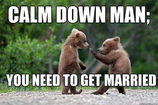 Karate Bear