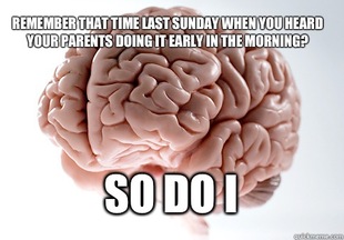 Scumbag Brain