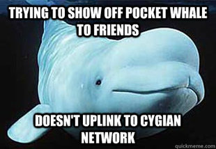 Misbehavin Pocket Whale