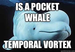 Misbehavin Pocket Whale