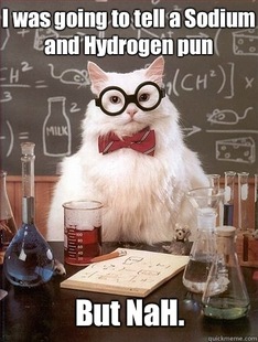 Chemistry Cat