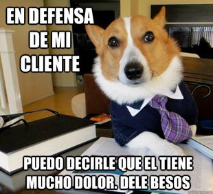 Lawyer Dog