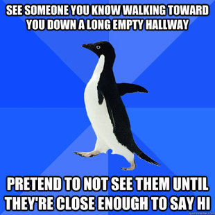 Socially Awkward Penguin