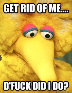 Big Bird