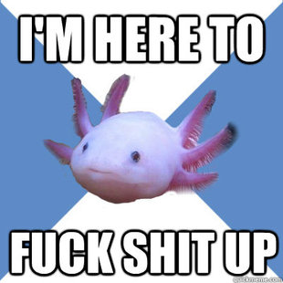 Facebook Stalker Axolotl