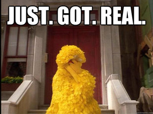 Big Bird