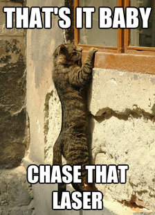 Peeping Tomcat