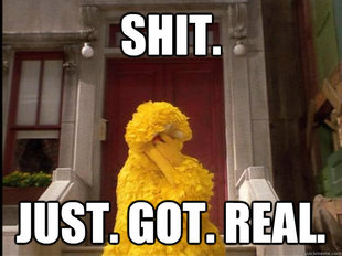 Big Bird
