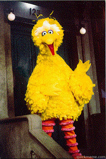 too Big Bird