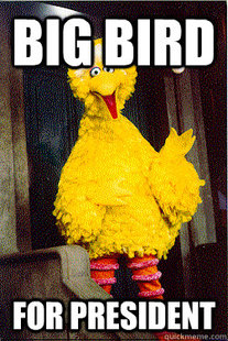 too Big Bird