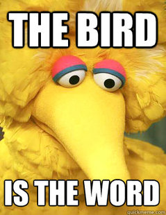 Big Bird