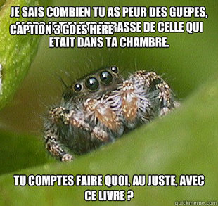 Misunderstood Spider