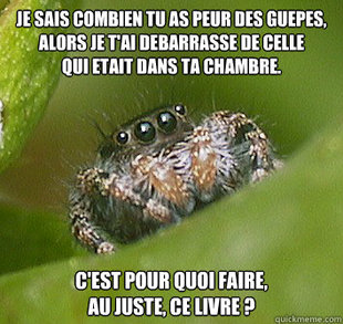 Misunderstood Spider