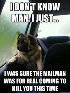 Introspective Pug