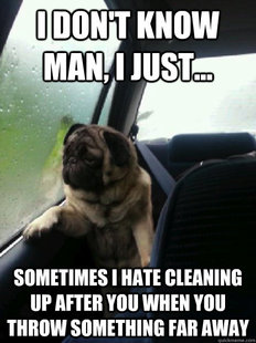 Introspective Pug