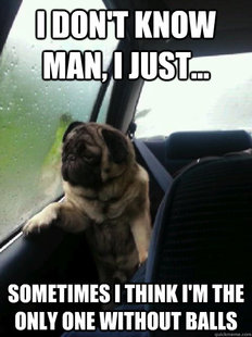 Introspective Pug