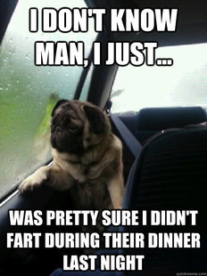 Introspective Pug