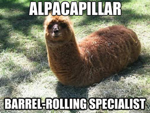 Alpacapillar