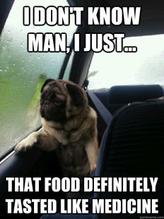 Introspective Pug