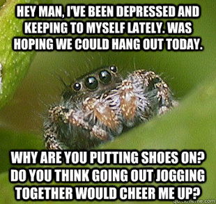 Misunderstood Spider