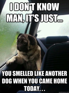 Introspective Pug