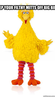 Big Bird