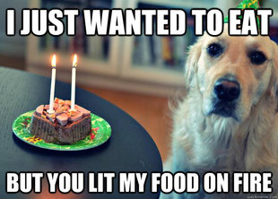 Funny Pictures Frogs on Sad Birthday Dog Meme   Quickmeme