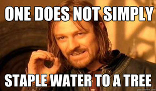 Lord of The Rings meme