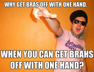 Gay Bro