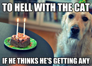 Sad Birthday Dog