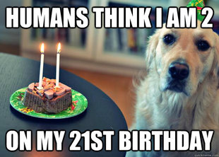 Sad Birthday Dog