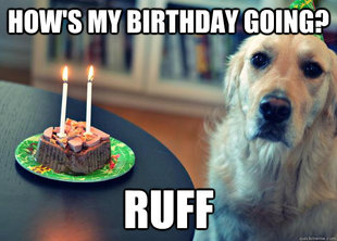 Sad Birthday Dog