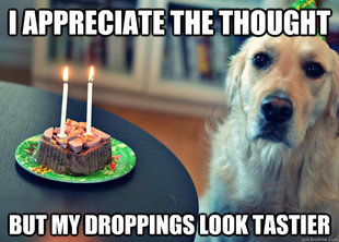Sad Birthday Dog
