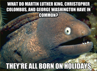 Bad Joke Eel